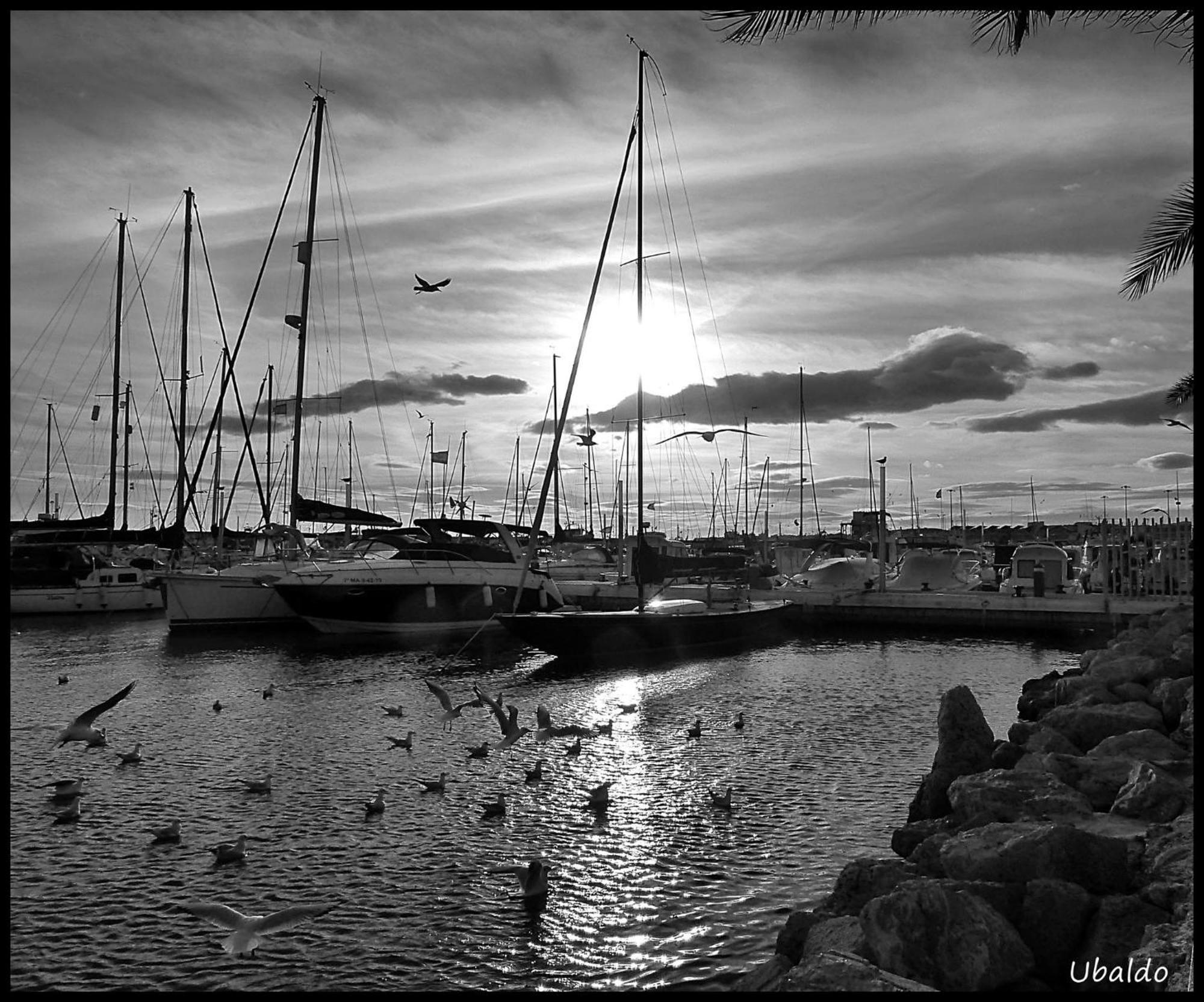 Brisas Del Mar Vila Caleta De Velez Exterior foto